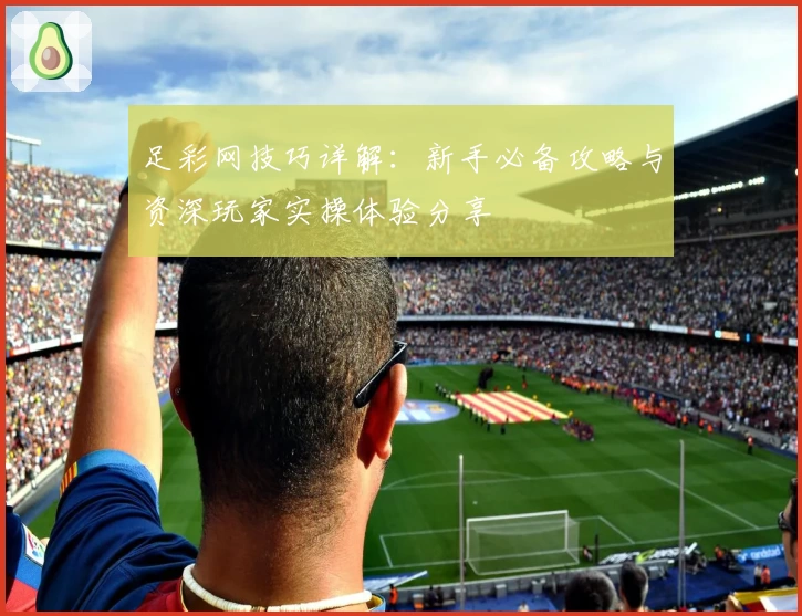 足彩网技巧详解：新手必备攻略与资深玩家实操体验分享