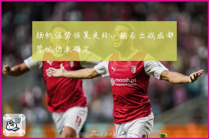 杨帆伤势恢复良好，能否出战成都蓉城仍未确定