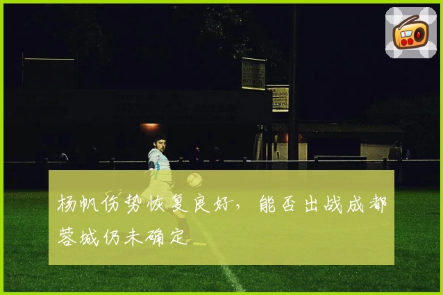 杨帆伤势恢复良好，能否出战成都蓉城仍未确定