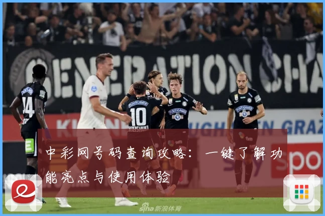 中彩网号码查询攻略：一键了解功能亮点与使用体验